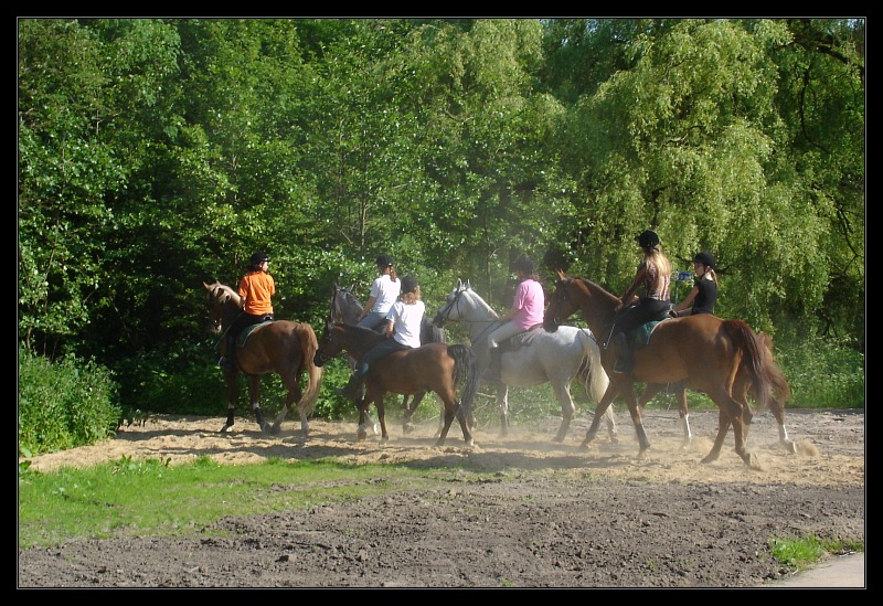 Horse Ride