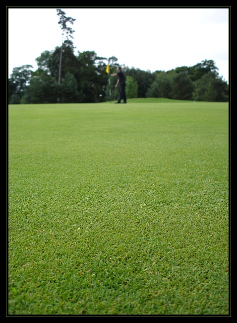 Putting Green