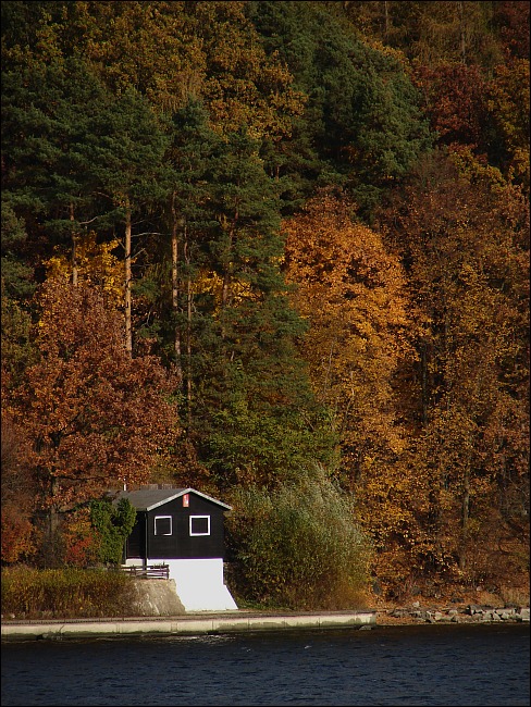 Shelter